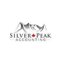 Silver Peak Accounting image 3