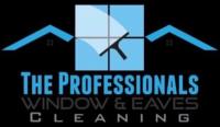 The Professionals Window and Eaves Cleaning Ltd. image 48