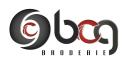 BCG Articles Promotionnels logo