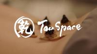 Tao Space image 6