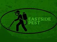 Eastside Pest Control  image 1