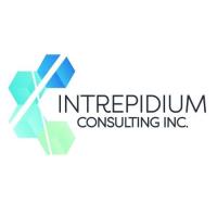 Intrepidium Consulting image 1