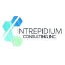 Intrepidium Consulting logo