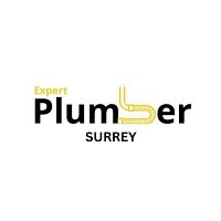 Expert Plumber Surrey image 1