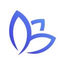 Blue Crocus Solutions logo