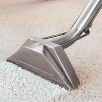 Dynamik Carpet Cleaning Markham image 7