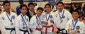 DSA Royal International Taekwondo (ITF) image 1