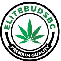 Elite Buds BC image 4