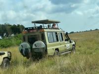 Steady Safaris Limited image 3
