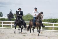 Canadian Paso Fino Horse Society image 2