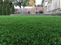 North Western Synthetic Grass image 2