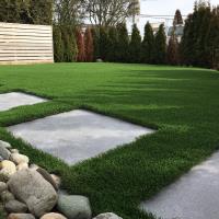 North Western Synthetic Grass image 4