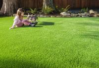 North Western Synthetic Grass image 5