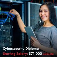 Online Cyber Security Diploma Course in Ontario image 1