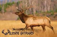 Wildside Outdoors image 1
