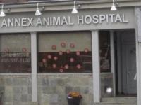 Annex Animal Hospital image 1