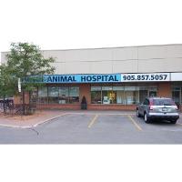 North Hill Animal Hospital image 3