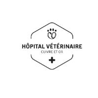 Hôpital Vétérinaire Cuivre et Or image 1