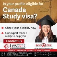 Lionsher Canada Immigration image 4