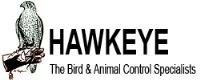 Hawkeye Bird and Animal Control Inc image 1