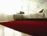 Home Design Carpet & Rugs image 6