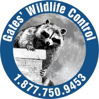 AAA Gates Wildlife Control image 1