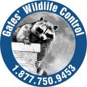 AAA Gates Wildlife Control logo