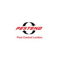 Pestend Pest Control London image 4