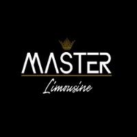 Master Limousine image 1