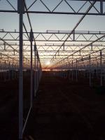 Ruthven Greenhouse Construction image 14