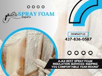 Spray Foam Experts Toronto image 3