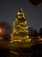 GTA Christmas Lighting image 2