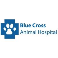 Blue Cross Animal Hospital image 1