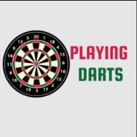 playing-darts.com image 1