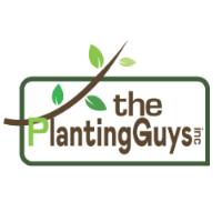 The Planting Guys image 1