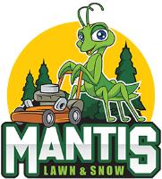 Mantis Lawn & Snow image 1