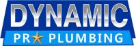 Dynamic Plumbing image 1