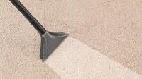 Cobalt Carpet Cleaning Calgary image 1