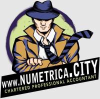 Numetrica City Inc. image 2