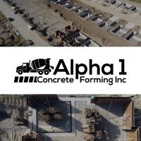 Alpha 1 Concrete Forming image 1