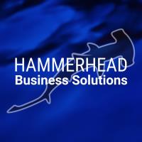 Hammerhead Business Solutions image 1