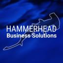 Hammerhead Business Solutions logo