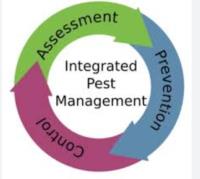 Ktown Pest Solutions image 3