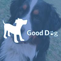 Good Dog Rocky Point image 1