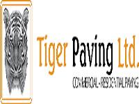 Tiger Paving image 1