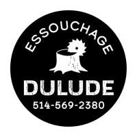 Essouchage Dulude image 8