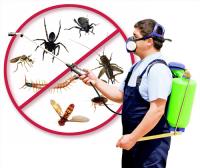 East York Pest Control image 1