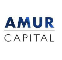 Amur Capital Management Corporation image 1