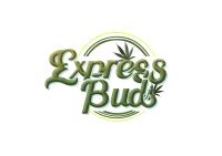 Express Buds image 2