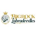 Big Rock Labradoodles logo
